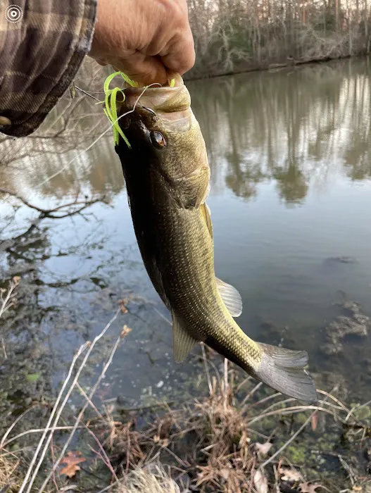 Parvin group camp parking 9