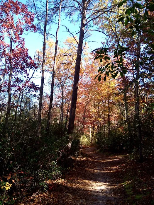 Jaggers Point Campground 2