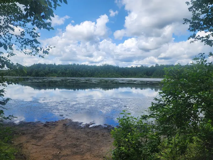 Jaggers Point Campground 0