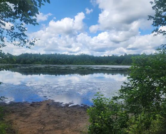 Jaggers Point Campground