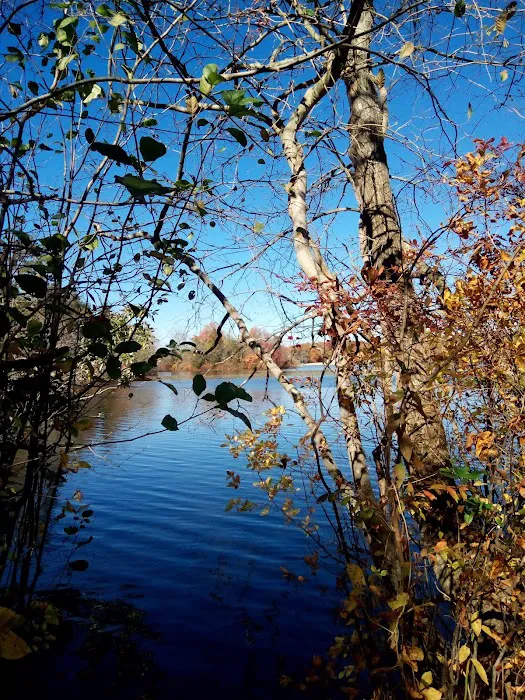 Jaggers Point Campground 8