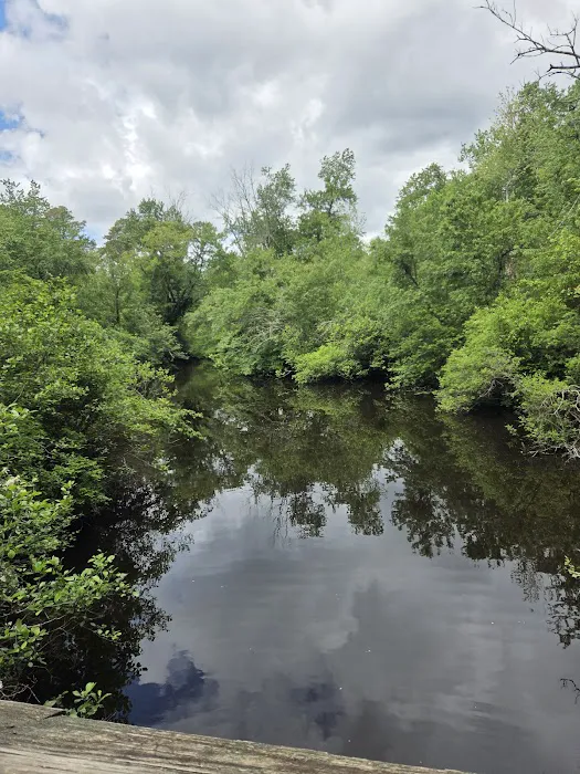 Jaggers Point Campground 4