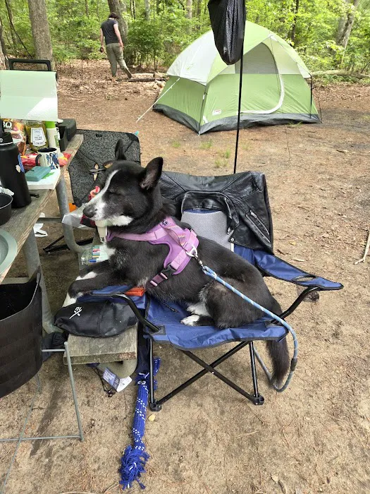 Jaggers Point Campground 7