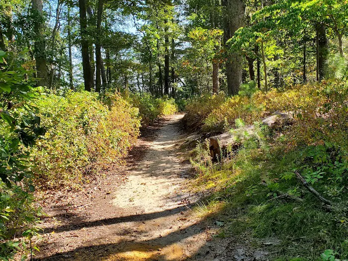 Thundergust Lake Cabin Area 9