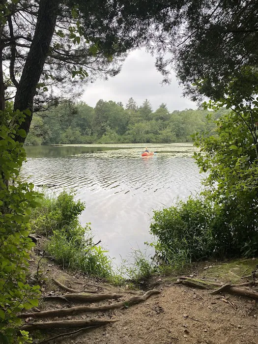 Thundergust Lake Cabin Area 8