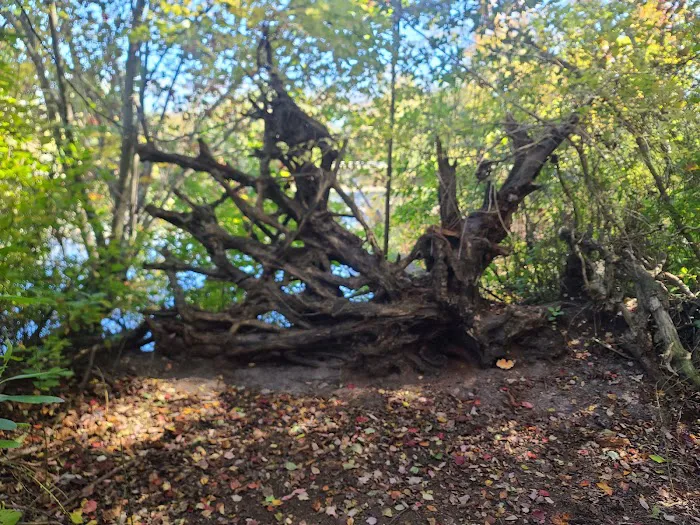 Thundergust Lake Cabin Area 0