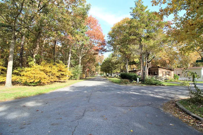 Oak Forest Mobile Home Park 8