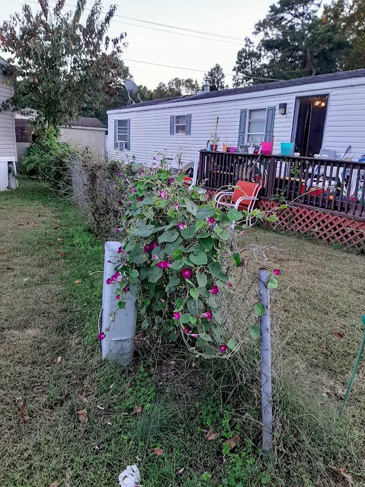 Delsea Woods Mobile Home Park 4