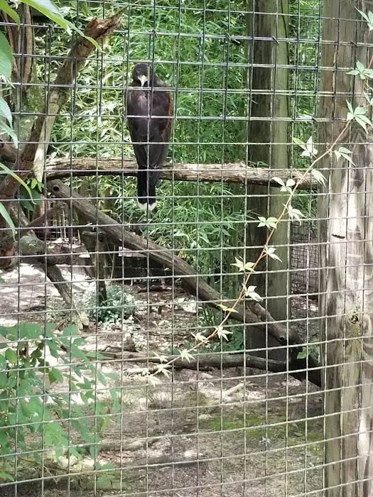 Delsea Woods Mobile Home Park 8