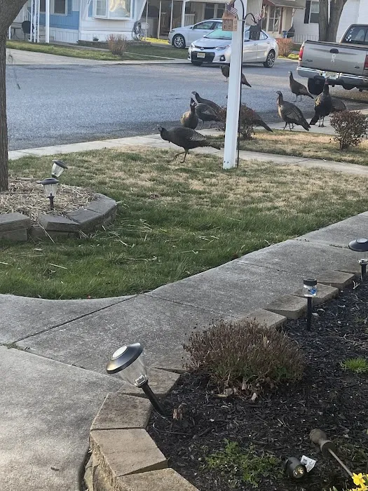 White Oak Mobile Home Park 1