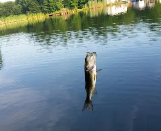 Secluded Acres Campground