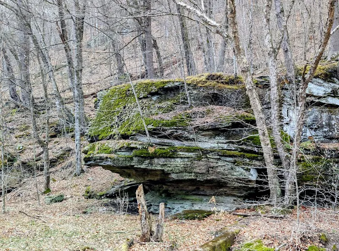 Sundown Wild Forest Peekamoose Campground Parking 7