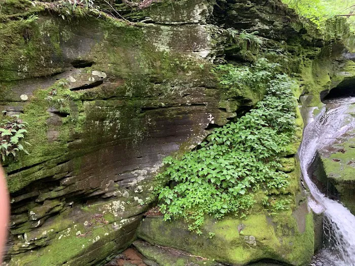 Sundown Wild Forest Peekamoose Campground Parking 2