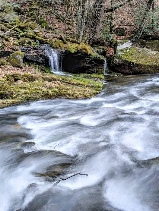 Sundown Wild Forest Peekamoose Campground Parking 9