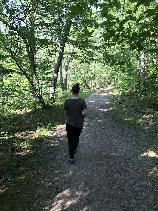 Sundown Wild Forest Peekamoose Campground Parking 1