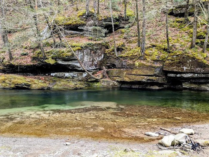 Sundown Wild Forest Peekamoose Campground Parking 6
