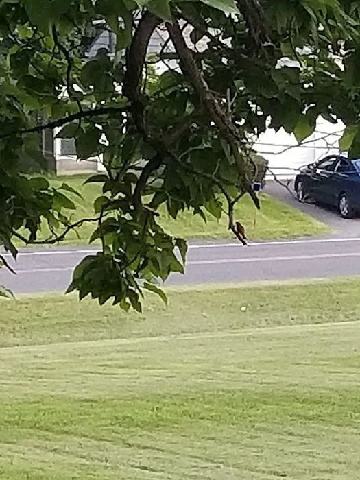 Dutcher Mobile Home Park 1