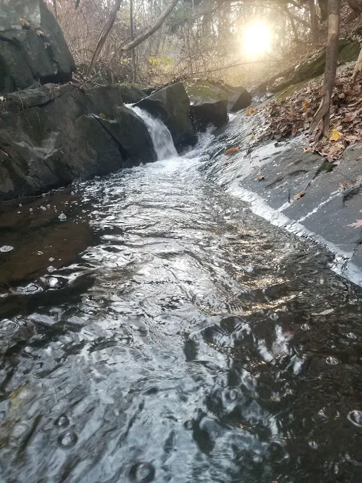 Dutcher Mobile Home Park 2