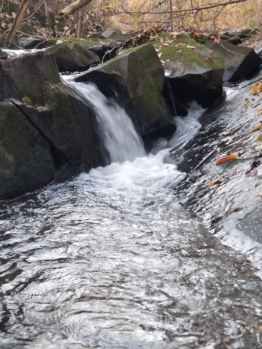 Dutcher Mobile Home Park 3