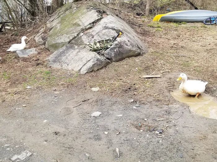 Dutcher Mobile Home Park 4