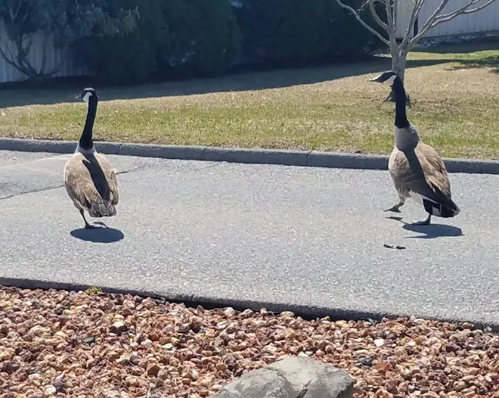 Hidden Brook Estates 0