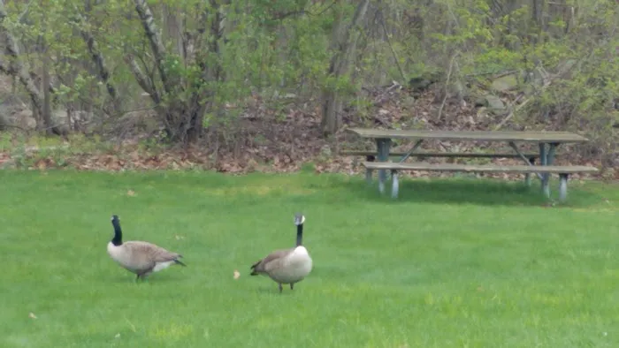 Hidden Brook Estates 7