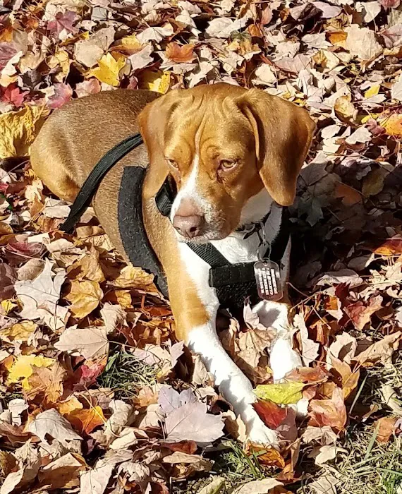 Hidden Brook Estates 5