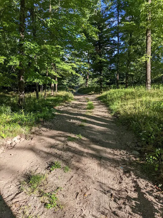 Neversink River Campgrounds 8
