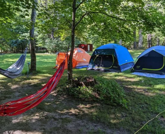 Neversink River Campgrounds