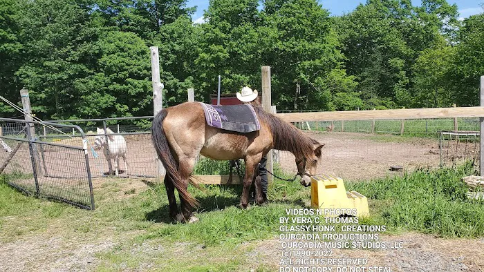 Arrowhead Ranch & Retreat 1