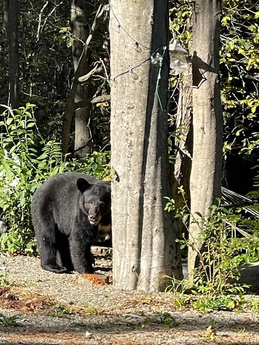 Breezewood Acres Community Association 9