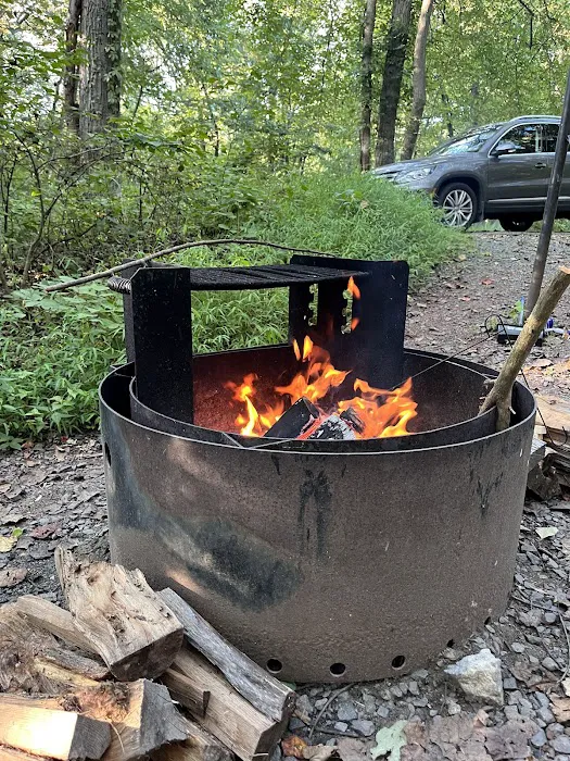 French Creek Org Group Camp 2 2