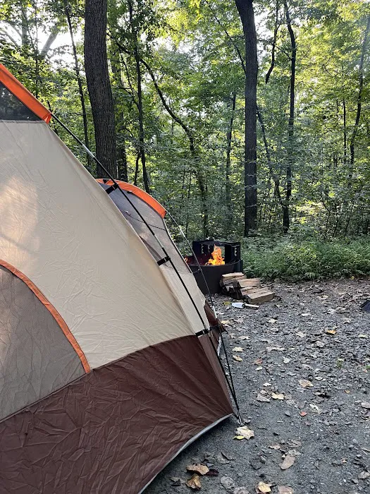 French Creek Org Group Camp 2 3