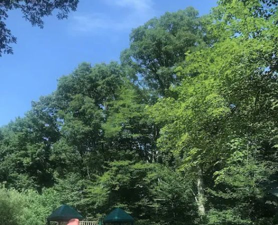 French Creek SP PA Loop A