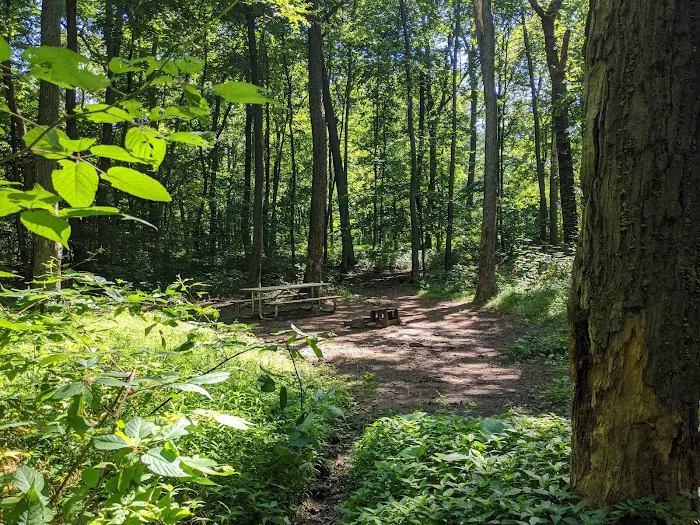 French Creek SP PA Loop A 2