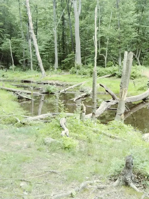 French Creek SP PA Loop A 6