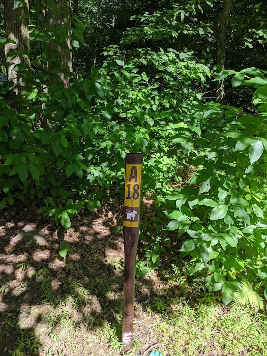 French Creek State Park Campground 8