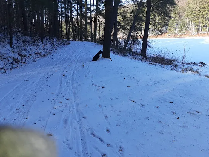 French Creek State Park Org Group Tent Site 11 0