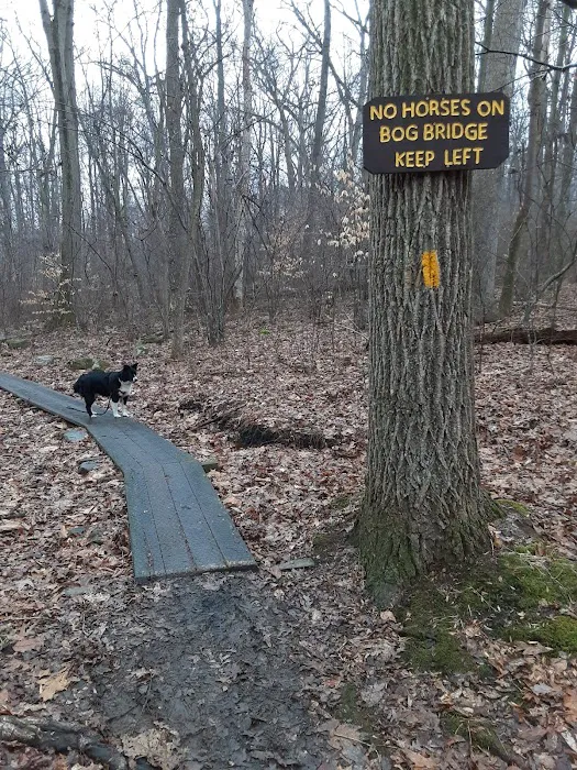 French Creek State Park Org Group Tent Site 11 3