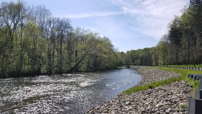 Quinta Las Cabanas Grove 1