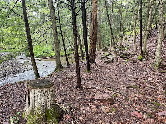 Oreland Troop 1 Hawk Mountain Camp 4