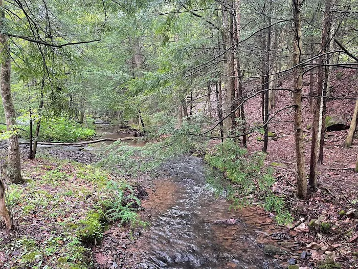 Oreland Troop 1 Hawk Mountain Camp 9