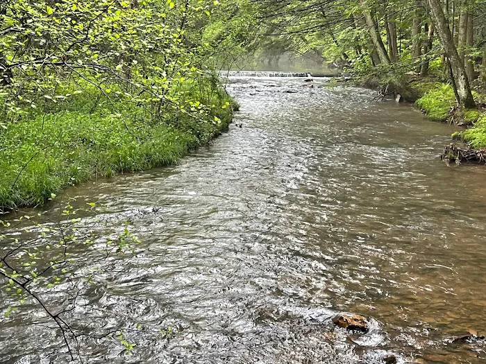 Oreland Troop 1 Hawk Mountain Camp 1
