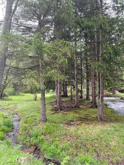 Oreland Troop 1 Hawk Mountain Camp 6