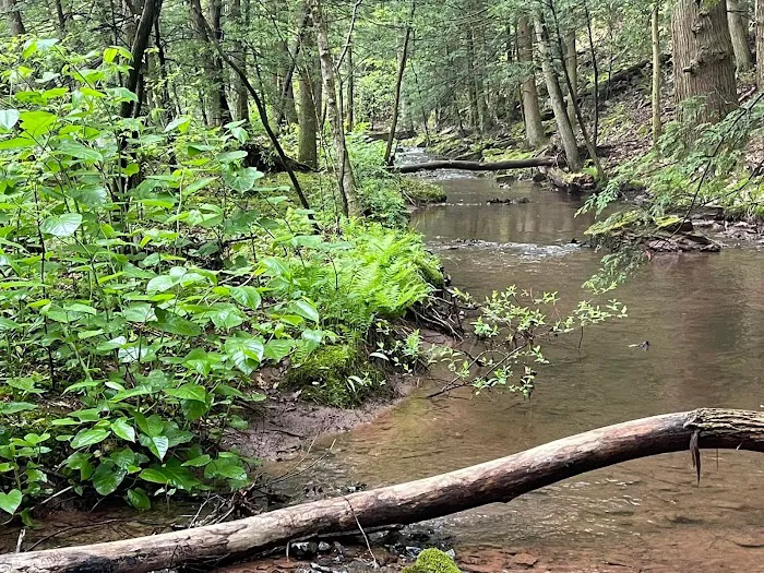 Oreland Troop 1 Hawk Mountain Camp 2