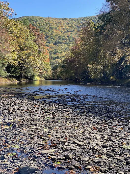 Hipcamp at Hawk Shadow Farm 6