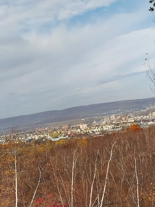 Laurel Run Estates 3