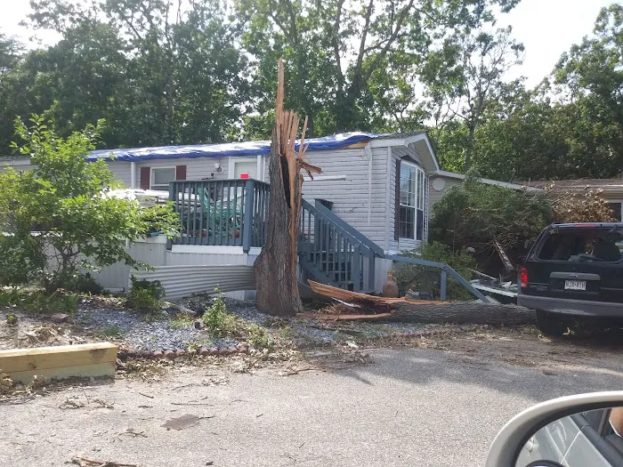 Pine Hill Mobile Home Court 1