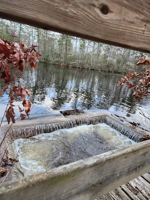 Bellplain State Forest Astronomy 3
