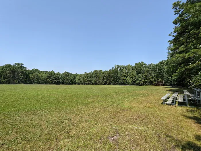 Bellplain State Forest Astronomy 7